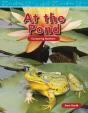 At The Pond - Preview