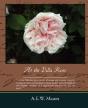 At The Villa Rose - Preview