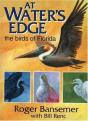 At Water'S Edge - Preview