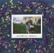 Capa do artigo At Weddings - Vinil