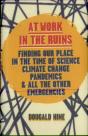 At Work In The Ruins - Preview