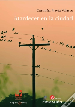 Capa do artigo Atardecer En La Ciudad