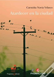 Capa do artigo Atardecer En La Ciudad
