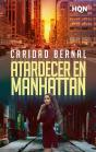 Atardecer En Manhattan - Preview