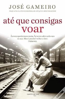 Capa do artigo Até que Consigas Voar