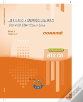 Ateliers Professionnels Sur Pgi Ebp Open Line Tome 2 ; Bts Cg ; Corrigé