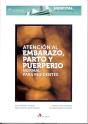 Atención Al Embarazo, Parto Y Puerperio Normal Para Residentes - Preview