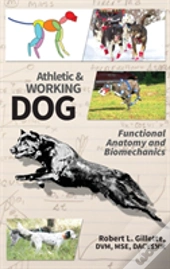 Athletic And Working Dog