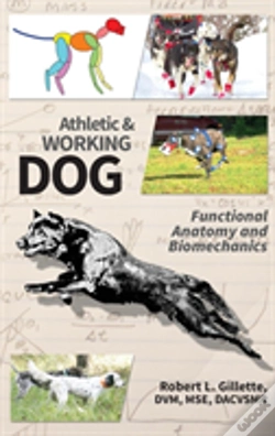 Capa do artigo Athletic And Working Dog