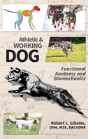 Athletic And Working Dog - Preview