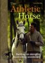 Athletic Horse - Preview