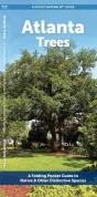Atlanta Trees - Preview