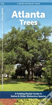 Capa do artigo Atlanta Trees