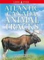 Atlantic Canada Animal Tracks - Preview