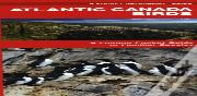 Atlantic Canada Birds