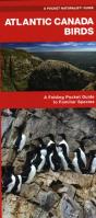 Atlantic Canada Birds - Preview