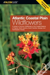 Atlantic Coastal Plain Wildflowers