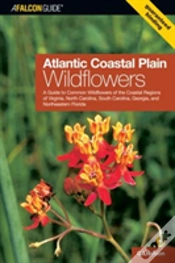Capa do artigo Atlantic Coastal Plain Wildflowers