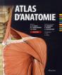 Atlas D Anatomie 2eme Edition - Preview