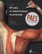 Atlas D Anatomie Humaine Adam 2e Edition - Preview