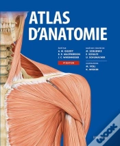 Capa do artigo Atlas D