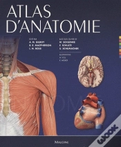 Capa do artigo Atlas D