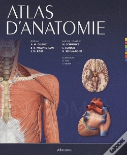Capa do artigo Atlas D'Anatomie
