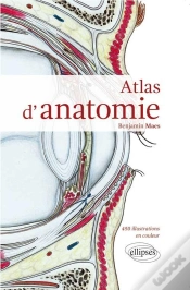 Capa do artigo Atlas D