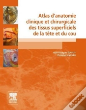 Capa do artigo Atlas D