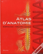 Capa do artigo Atlas D