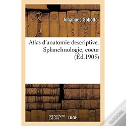 Capa do artigo Atlas D'Anatomie Descriptive. Splanchnologie, Coeur