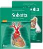 Atlas D'Anatomie Humaine 5 Edition Francaise T.1 Tome 2 - Preview