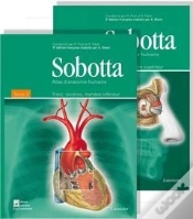 Capa do artigo Atlas D