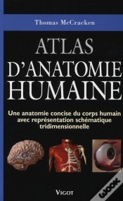 Capa do artigo Atlas D