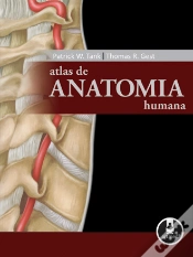 Capa do artigo Atlas de Anatomia Humana