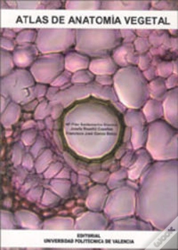 Capa do artigo Atlas De Anatomía Vegetal