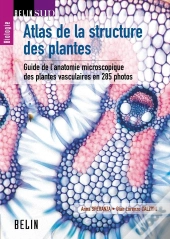 Atlas De La Structure Des Plantes