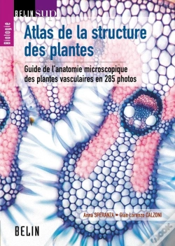 Capa do artigo Atlas De La Structure Des Plantes