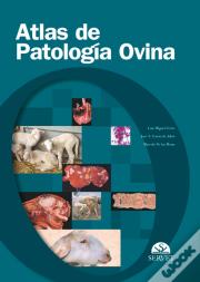 Atlas De Patología Ovina
