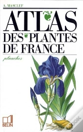 Atlas Des Plantes De France : Le Volume De Planches