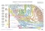Atlas Des Vertebres - Poster - Origine Et Evolution Des Vertebres - Preview
