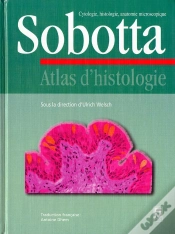 Capa do artigo Atlas D
