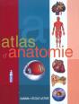 Atlas Du Corps Humain - Preview