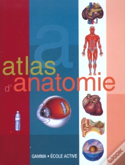 Capa do artigo Atlas Du Corps Humain