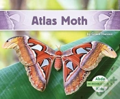 Capa do artigo Atlas Moth