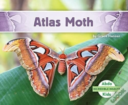 Capa do artigo Atlas Moth