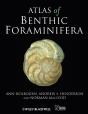 Atlas Of Benthic Foraminifera - Preview