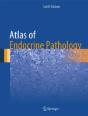Atlas Of Endocrine Pathology - Preview