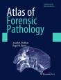Atlas Of Forensic Pathology - Preview