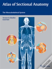 Capa do artigo Atlas Of Sectional Anatomy